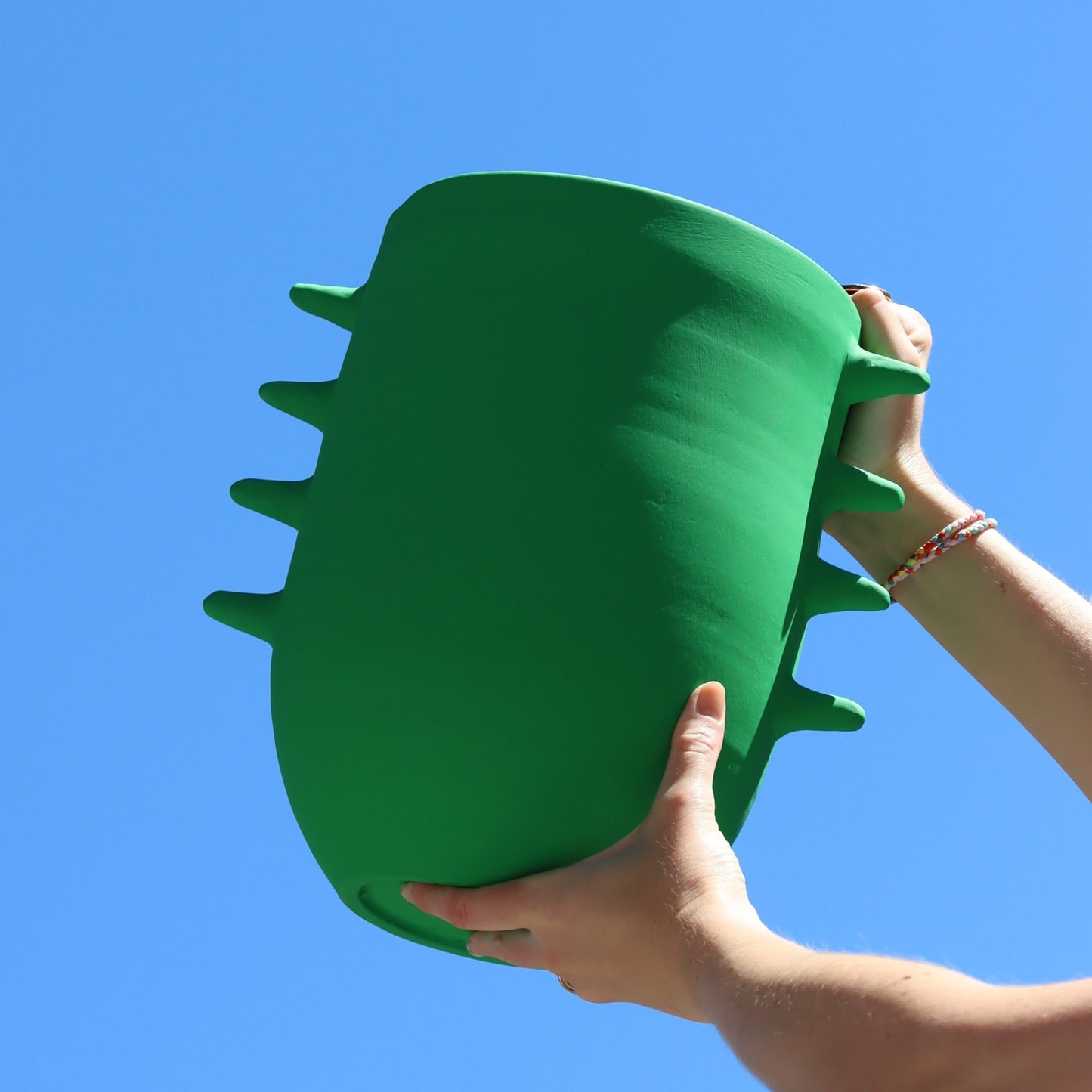 The Banasa- Matte Vase