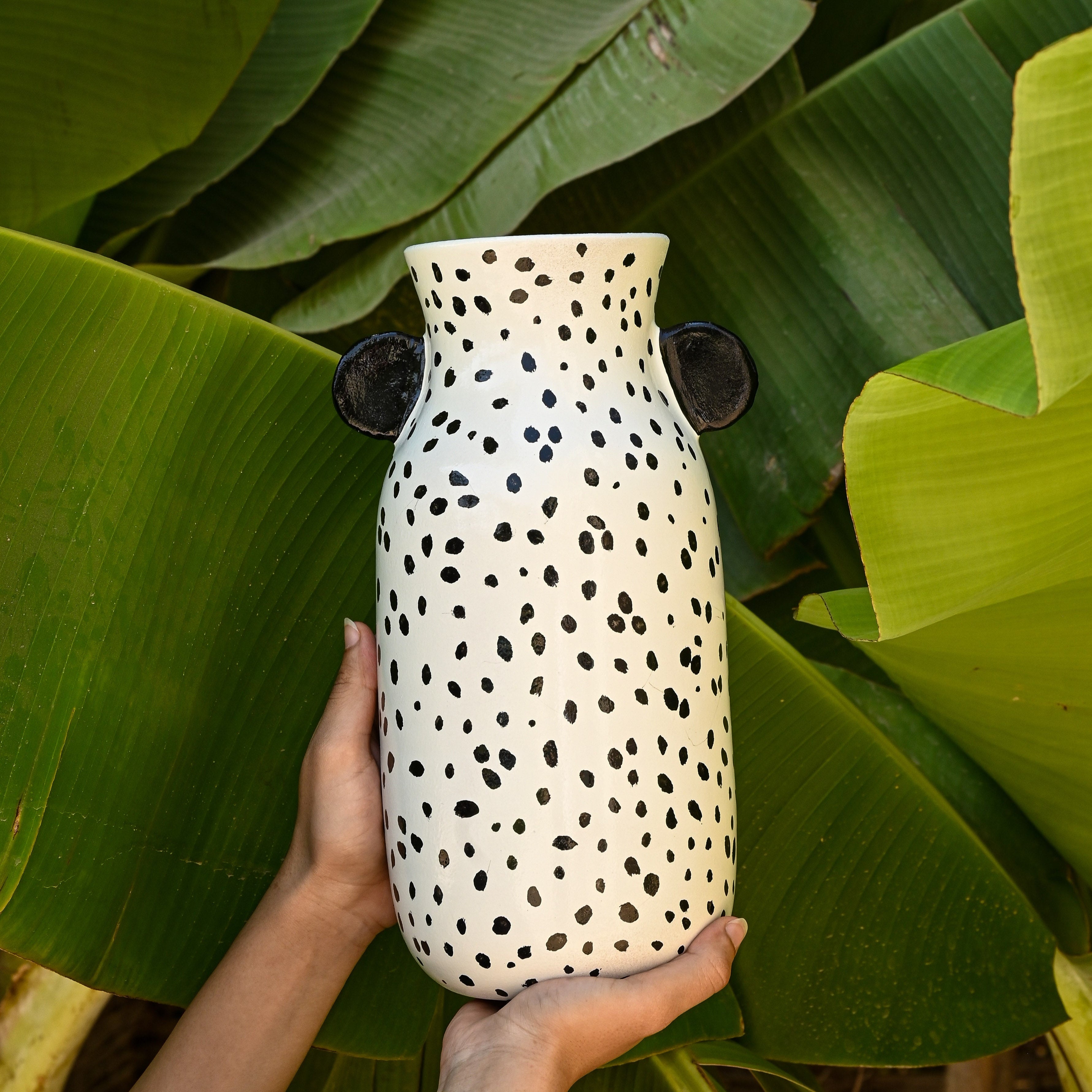 Le Vase Tanis - Dalmatien