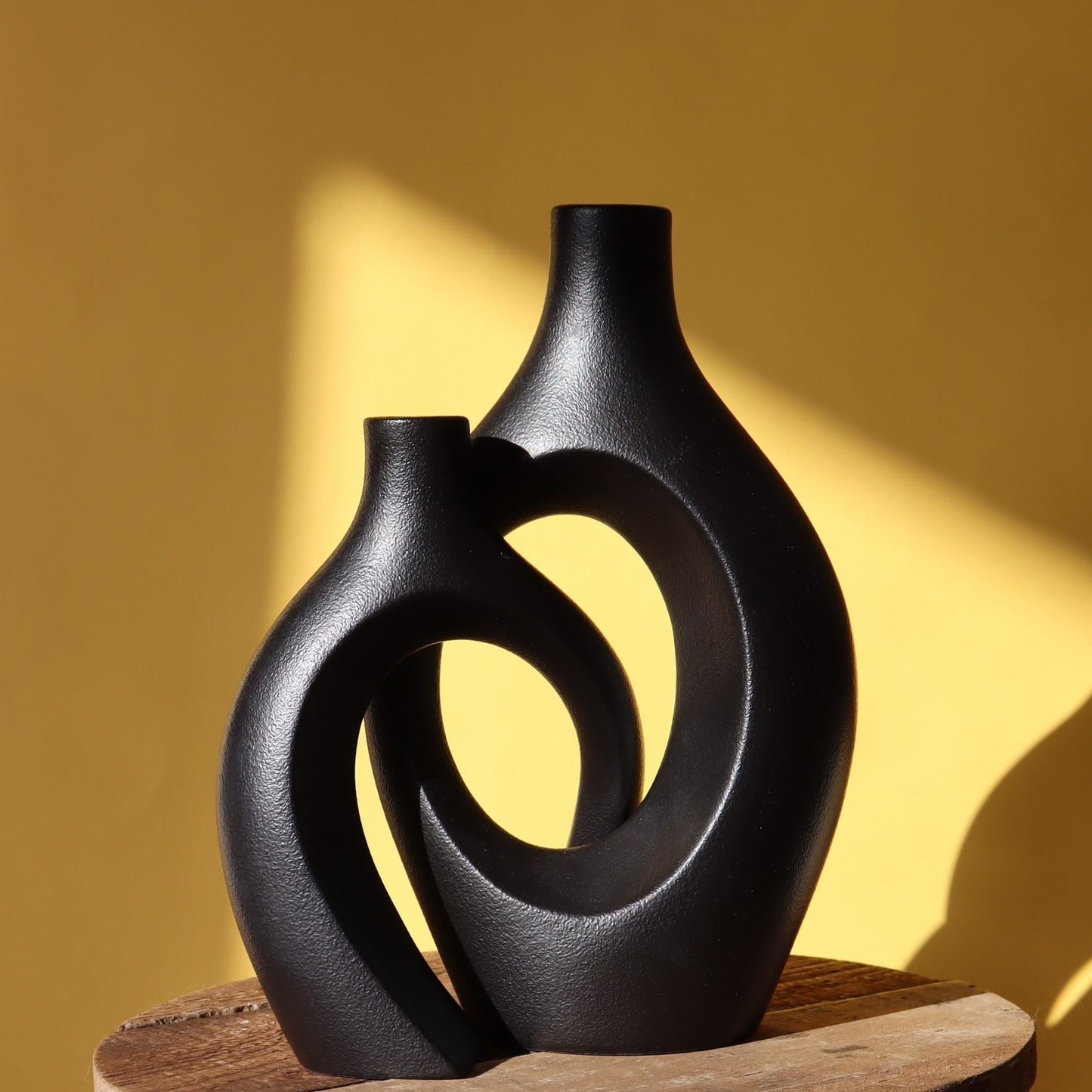 The duo of entwined vases - black