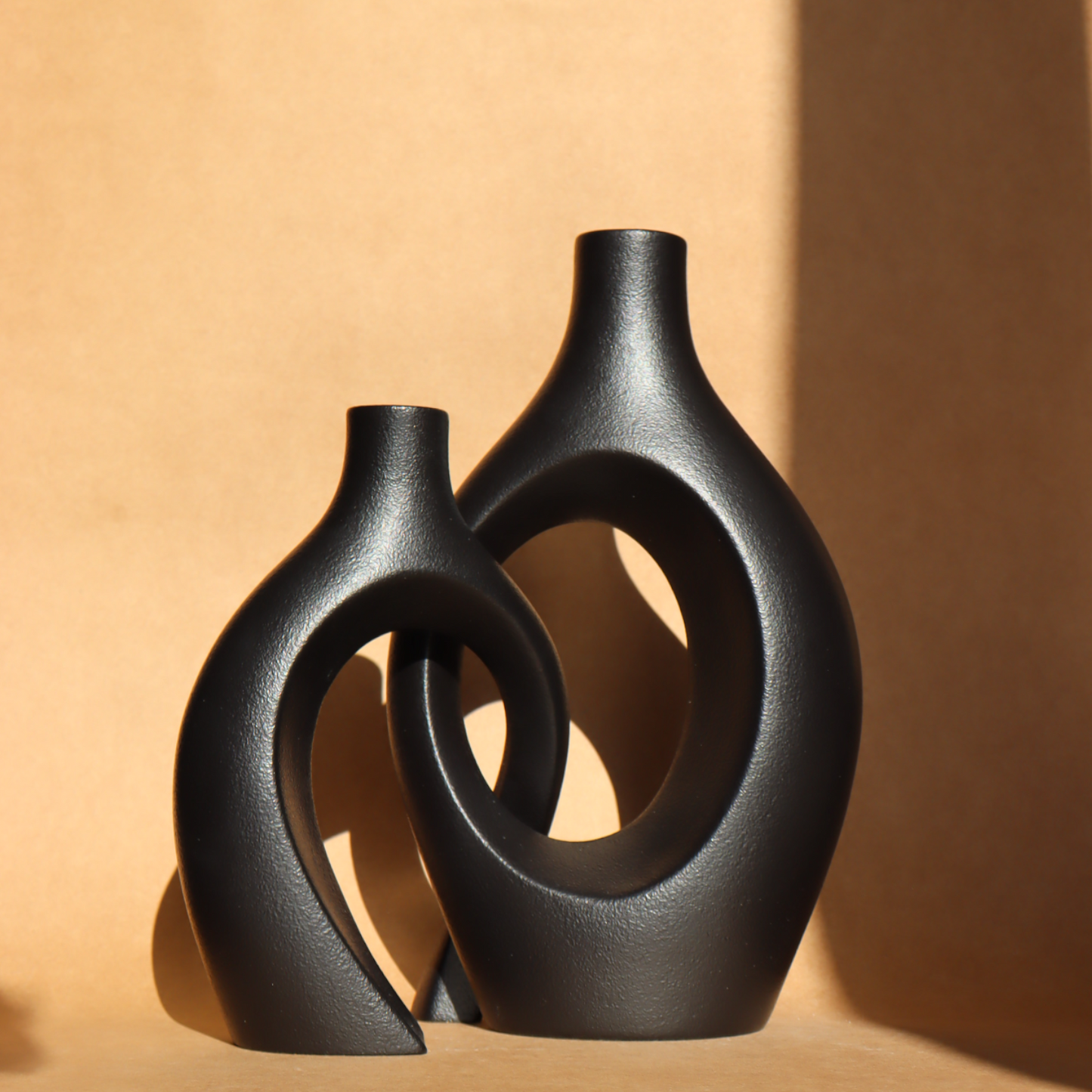 The duo of entwined vases - black