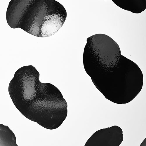 Charger l&#39;image 1 dans la galerie. Duo de Vases Enlacés Philae