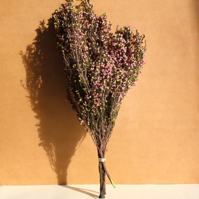 🎁 Bouquet de bruyère stabilisée - 35-40cm - Rose-Vert (Offert)