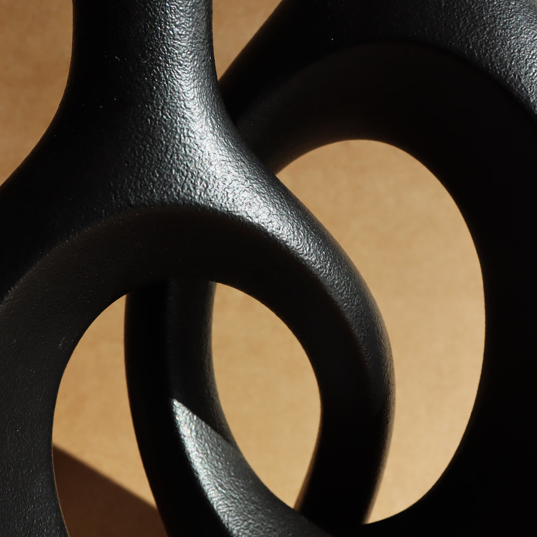 The duo of entwined vases - black